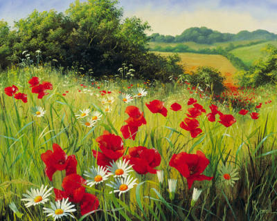 Sunlit Meadow art print by Mary Dipnall
