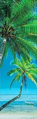 Palm Cove I