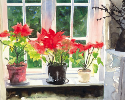 Poinsettias art print by Richard Akerman