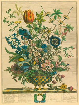 February art print by Robert Furber