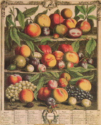 Fruits of the Season - Autumn art print by Robert Furber