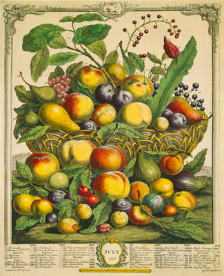 Fruits of the Season - Summer art print by Robert Furber