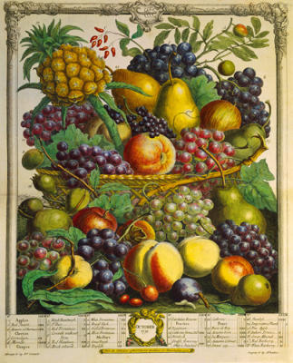 Fruits of the Season - Winter art print by Robert Furber