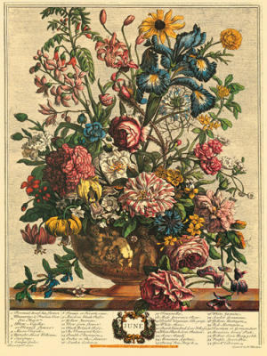 June art print by Robert Furber