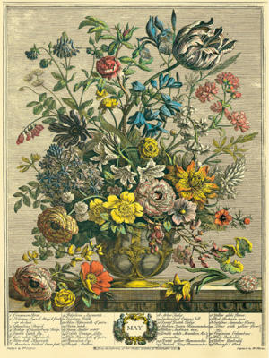 May art print by Robert Furber