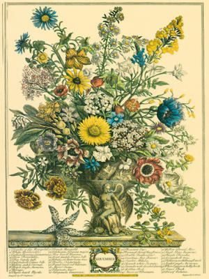 November art print by Robert Furber