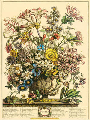 October art print by Robert Furber