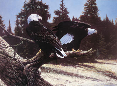 As Free as the Wind art print by Spencer Hodge