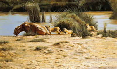 At the Waterhole art print by Spencer Hodge