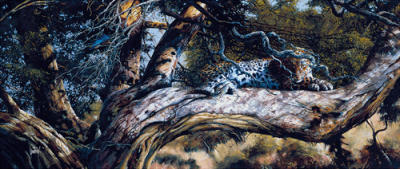 Concealment art print by Spencer Hodge