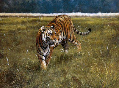 Ranthambhore art print by Spencer Hodge