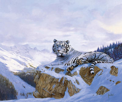 Siberian Tiger art print by Spencer Hodge
