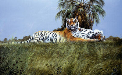 Sleeping it off art print by Spencer Hodge