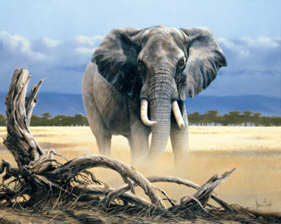 The Sentinel art print by Spencer Hodge
