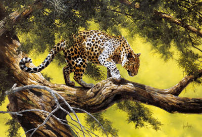 View to a Kill art print by Spencer Hodge