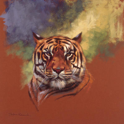 Tiger art print by Stan Kaminski