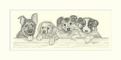 Dog Day Afternoon I