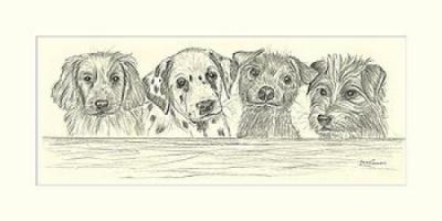 Dog Day Afternoon II art print by Steve O'Connell