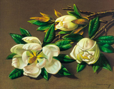 Magnolias art print by Vladimir Tretchikoff