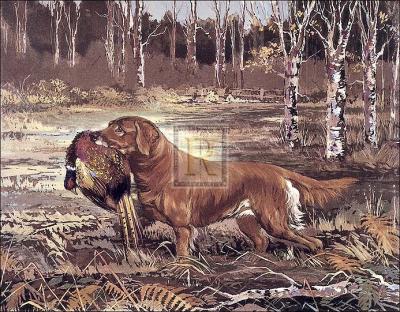 Golden Retriever art print by Ward Binks