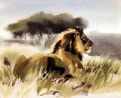 Majesty art print by Wolfgang Weber