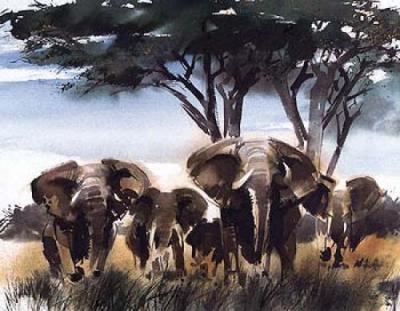 Sudden Encounter art print by Wolfgang Weber