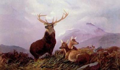 Alert art print by Arthur Fitzwilliam Tait