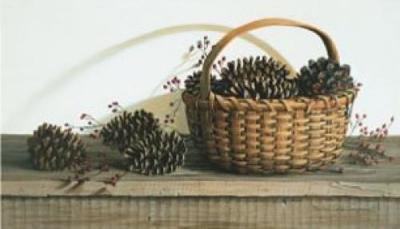 Pine Cones & Rose Berries