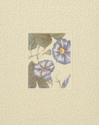 Morning Glory art print by Peg Hope