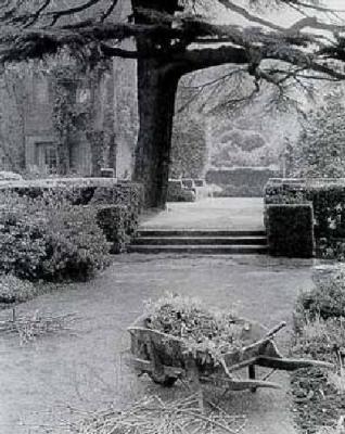 Hidcote, Gloucestershire art print by Smith