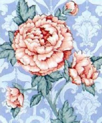Peony art print by Suzanne Nicoll
