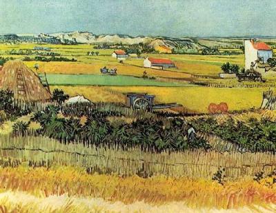 Vegetable Gardens 1888 art print by Vincent Van Gogh