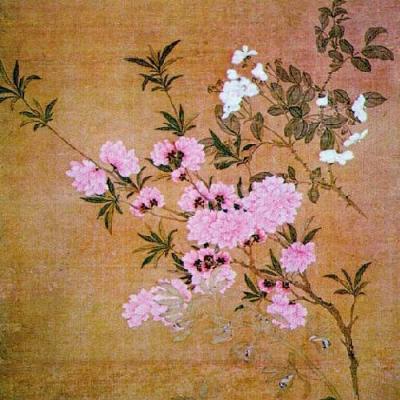 Cherry Blossoms And Wild Roses