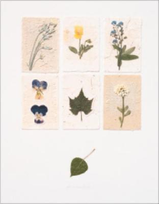 Forget-Me-Not art print by Deni Mechelle Newey