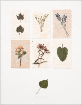 Grape Leaves and Lavender art print by Deni Mechelle Newey