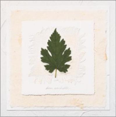 Woodland art print by Deni Mechelle Newey