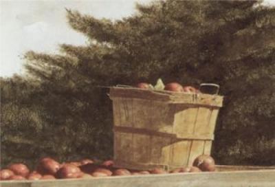 Apple Basket art print by Doug Brega