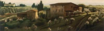 Calcinaia Tuscany art print by Mallory Lake