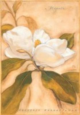 Magnolia art print by Meg Page