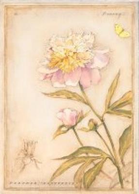 Peony II