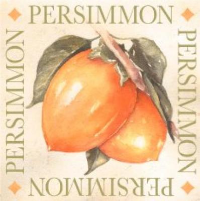 Persimmon art print by Michael Alexander