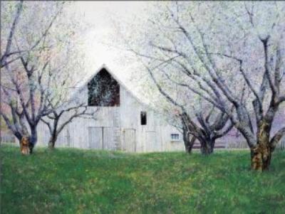 Orchard Blossoms art print by Ned Young