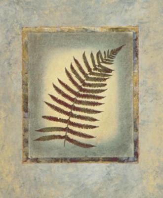 Fern I art print by Tara Green