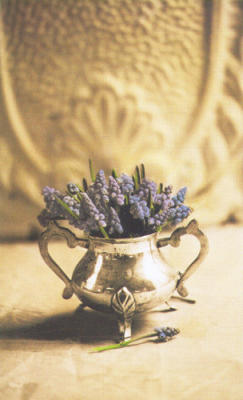 Hyacinth art print by Addison