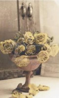 Roses art print by Addison