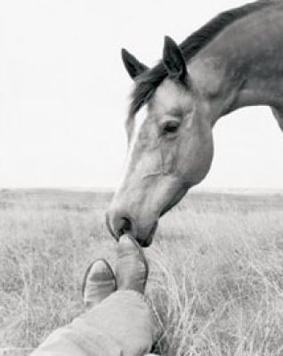 Partners art print by Albracht