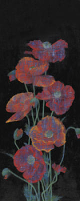 Poppies art print by Amiryani