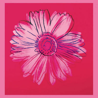 Daisy, c. 1982 (crimson and pink)