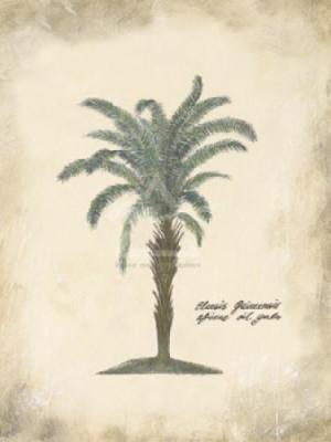 African Oil Palm art print by Annabel Hewitt