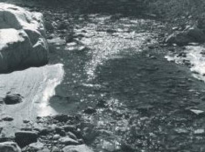 Deep Canyon Stream, 1966 art print by Ansel Adams